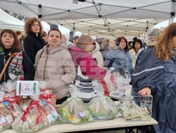 Враца - Никулден - курбан