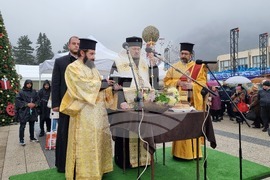 Враца - Никулден - курбан