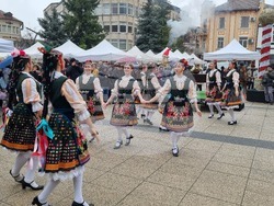 Враца - Никулден - курбан