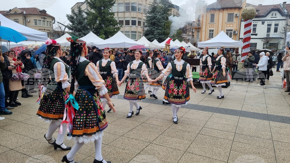 Враца - Никулден - курбан