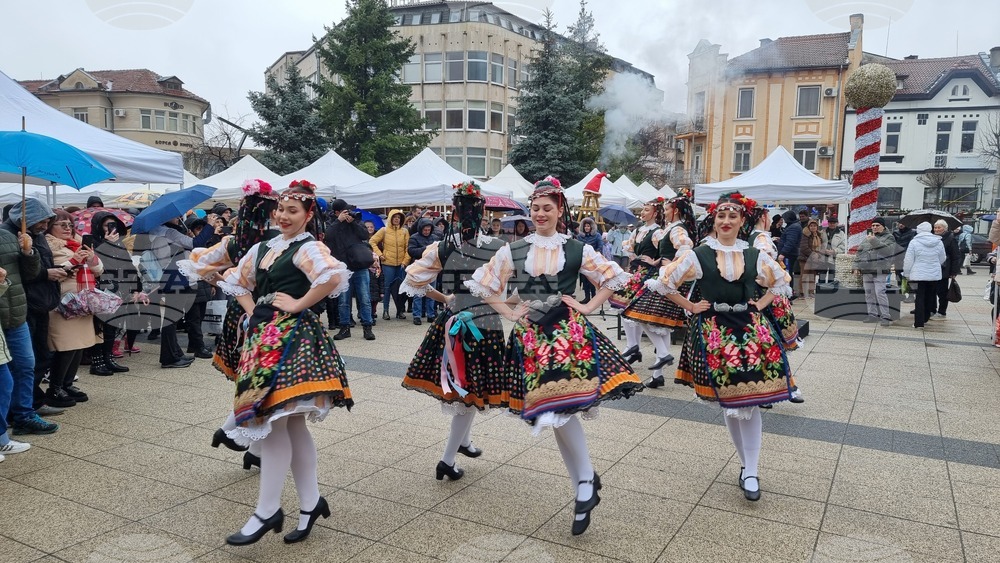 Враца - Никулден - курбан