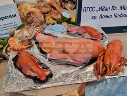 Варна - кулинарен благотворителен фестивал „Да споделим Никулден“