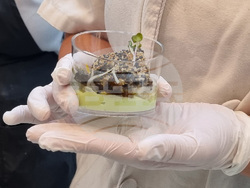 Варна - кулинарен благотворителен фестивал „Да споделим Никулден“