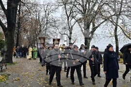 Видин - Никулден - отбелязване