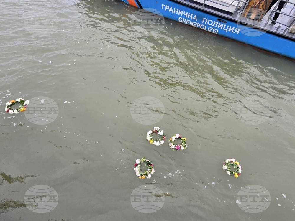Видин - Никулден - отбелязване
