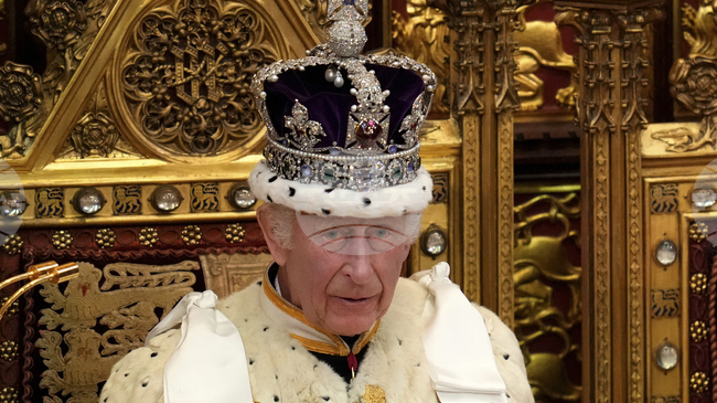 Четирима протестиращи бяха арестувани след като замериха с ябълков сладкиш и яйчен крем Имперската корона, изложена в Лондонската кула