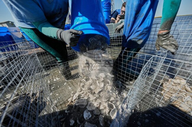 Climate Indigenous Erosion Impacts