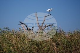 Climate Indigenous Erosion Impacts