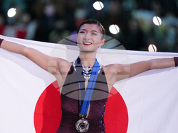 Japan Figure Skating