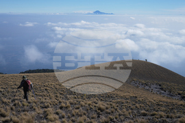 Mexico Volcano Scientist