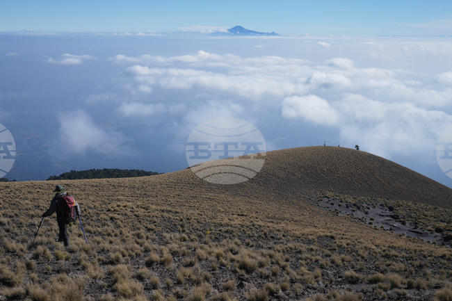 Mexico Volcano Scientist