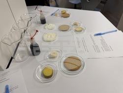 Николаево - празник