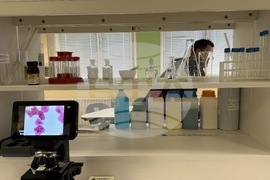 Николаево - празник