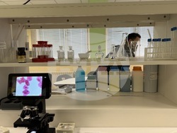 Николаево - празник