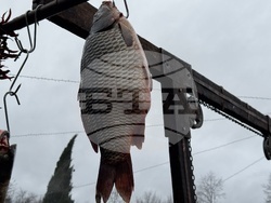 Николаево - празник