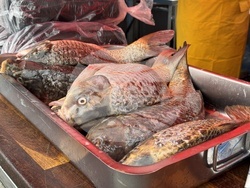 Николаево - празник