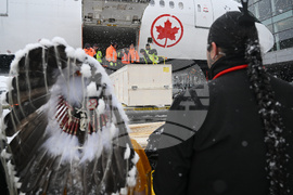 Canada Indigenous Artifacts