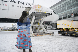 Canada Indigenous Artifacts