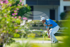 Bahamas Hero World Challenge Golf