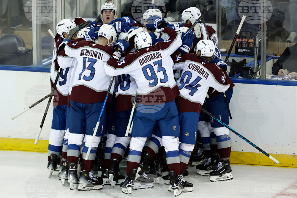 Avalanche Rangers Hockey