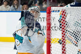 PWHL Sirens Goldeneyes Hockey