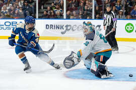 PWHL Sirens Goldeneyes Hockey