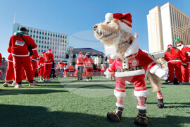 Great Santa Run Las Vegas