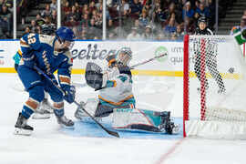 PWHL Sirens Goldeneyes Hockey