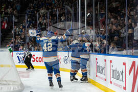 PWHL Sirens Goldeneyes Hockey