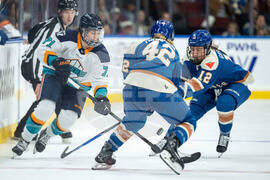 PWHL Sirens Goldeneyes Hockey