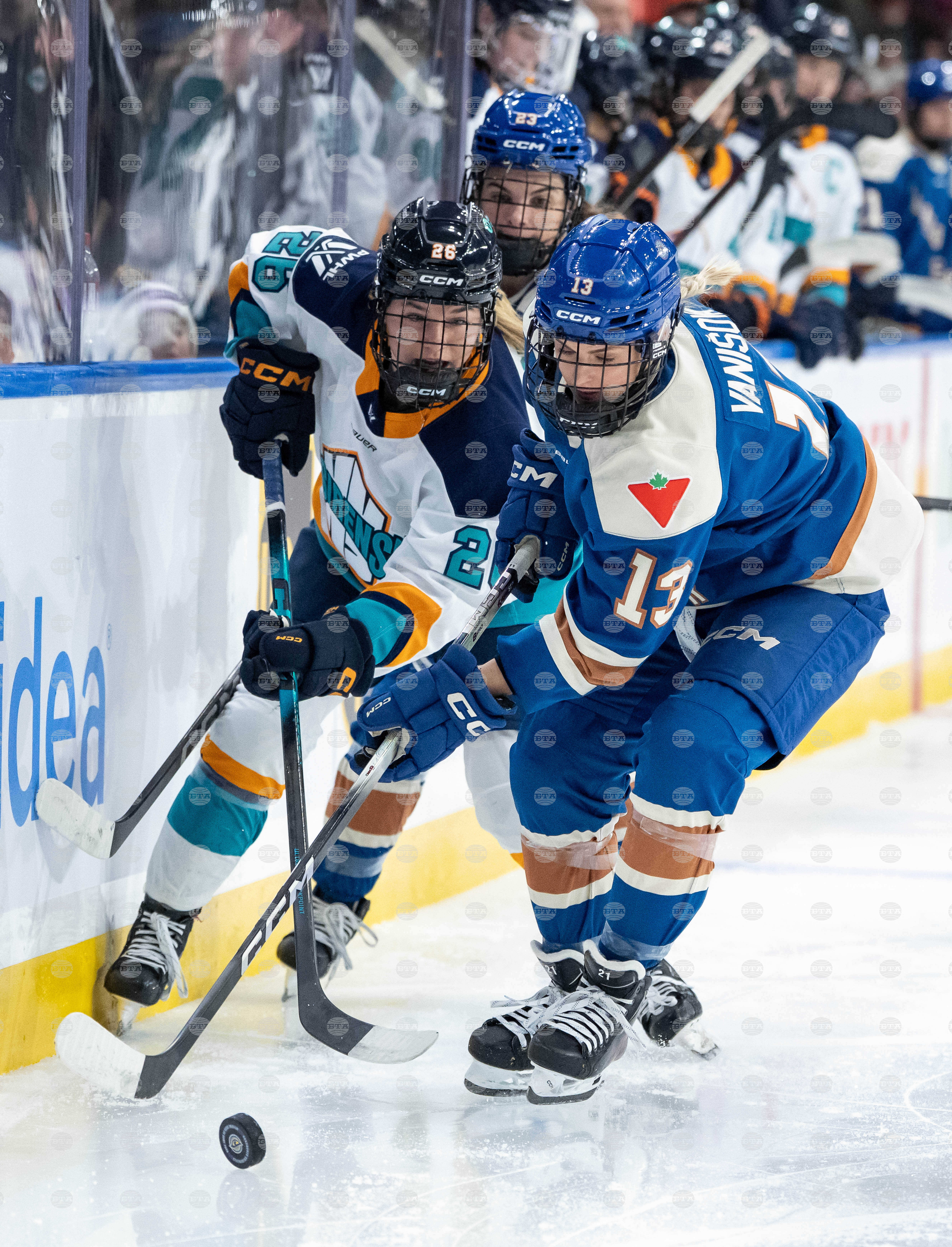 PWHL Sirens Goldeneyes Hockey