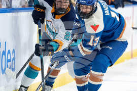 PWHL Sirens Goldeneyes Hockey