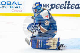 PWHL Sirens Goldeneyes Hockey