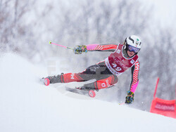 World Cup Alpine Skiing