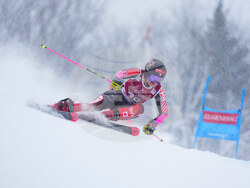 World Cup Alpine Skiing