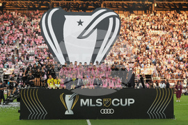 MLS Cup Soccer