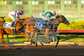 Los Alamitos Horse Racing