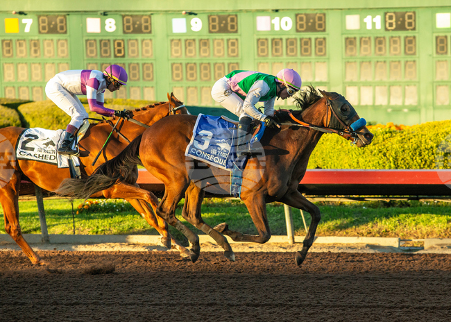 Los Alamitos Horse Racing