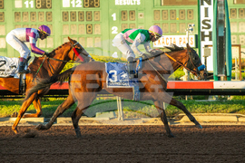 Los Alamitos Horse Racing