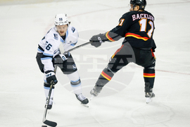 Mammoth Flames Hockey