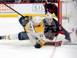 Predators Hurricanes Hockey