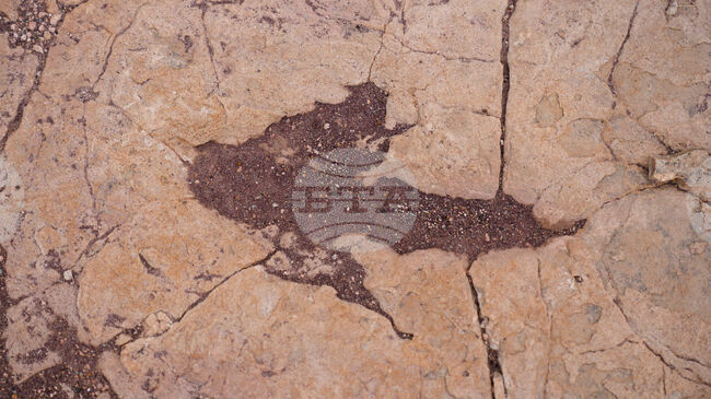 Хиляди отпечатъци от динозаври са открити върху алпийски скали, близо до мястото на Зимните олимпийски игри през 2026 г.