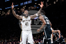 Pelicans Nets Basketball