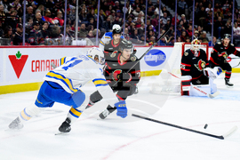 Blues Senators Hockey