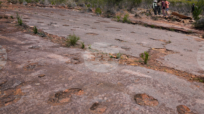 Най-голямото находище в света на отпечатъци от динозаври се намира в Боливия, смятат учените