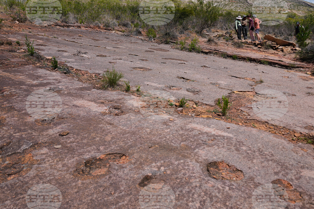 Най-голямото находище в света на отпечатъци от динозаври се намира в Боливия, смятат учените