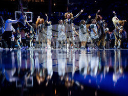 Pelicans Nets Basketball