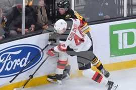 Devils Bruins Hockey