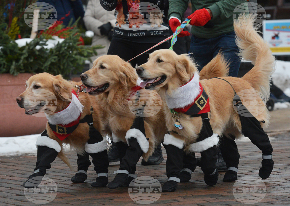 Reindog Parade
