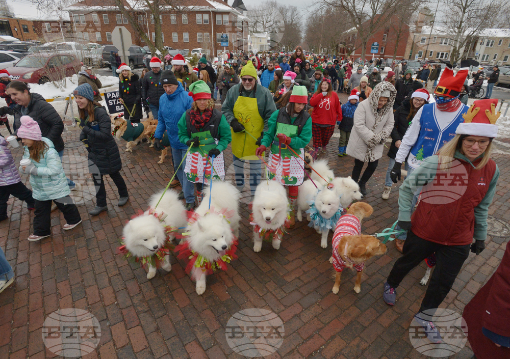 Reindog Parade